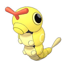 Caterpie