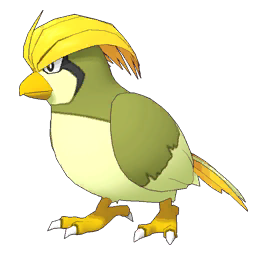 Pidgeotto Image