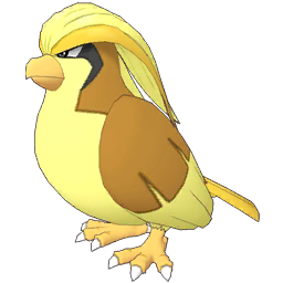 Pidgeot Image