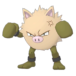 Primeape Image