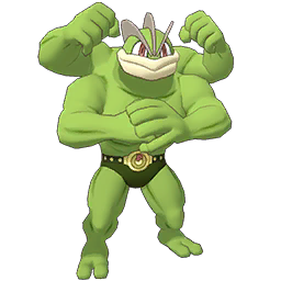 Machamp Image