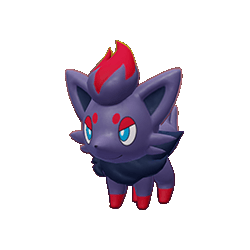 Zorua