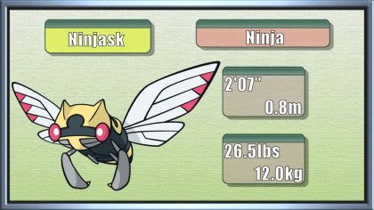 Ninjask