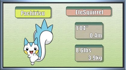 Pachirisu