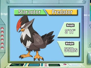 Staraptor