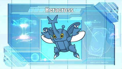 Heracross