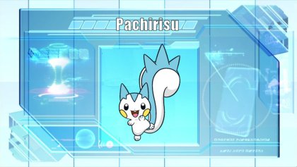 Pachirisu