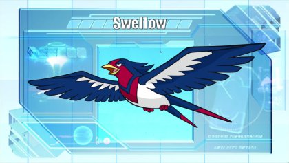 Swellow