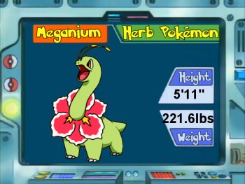 Meganium