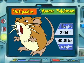 Raticate