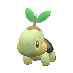 Turtwig