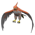 Talonflame