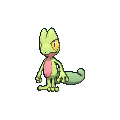 Treecko