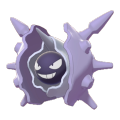 Cloyster