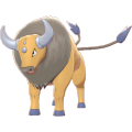 Tauros