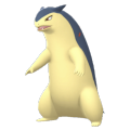 Typhlosion