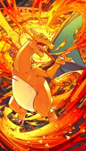 Charizard Display Boards