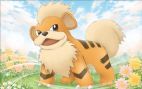 Growlithe